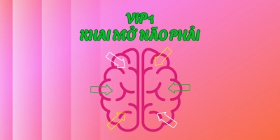 Vip 1: 7 bí mật của não phải và cách khai mở những con đường đưa thông tin vào não bộ. 