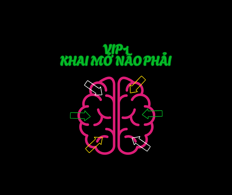 VIP 1 – KHAI MỞ 7 BÍ MẬT CỦA NÃO PHẢI GIÚP TRẺ PHÁT TRIỂN TOÀN DIỆN NGAY TỪ GIAI ĐOẠN VÀNG