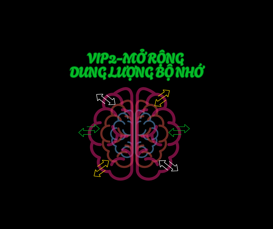 VIP 2: Mở rộng dung lượng não bộ & những yếu tố nền tảng giúp con có trí nhớ vượt trội